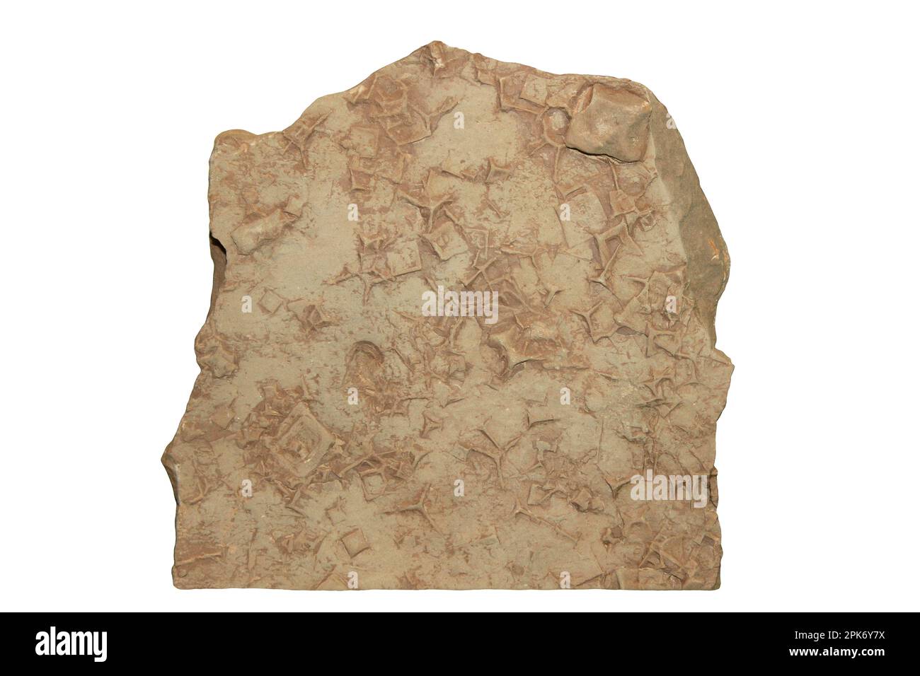 Grès aux pseudomorphes de sel, Warburton, Cheshire Banque D'Images