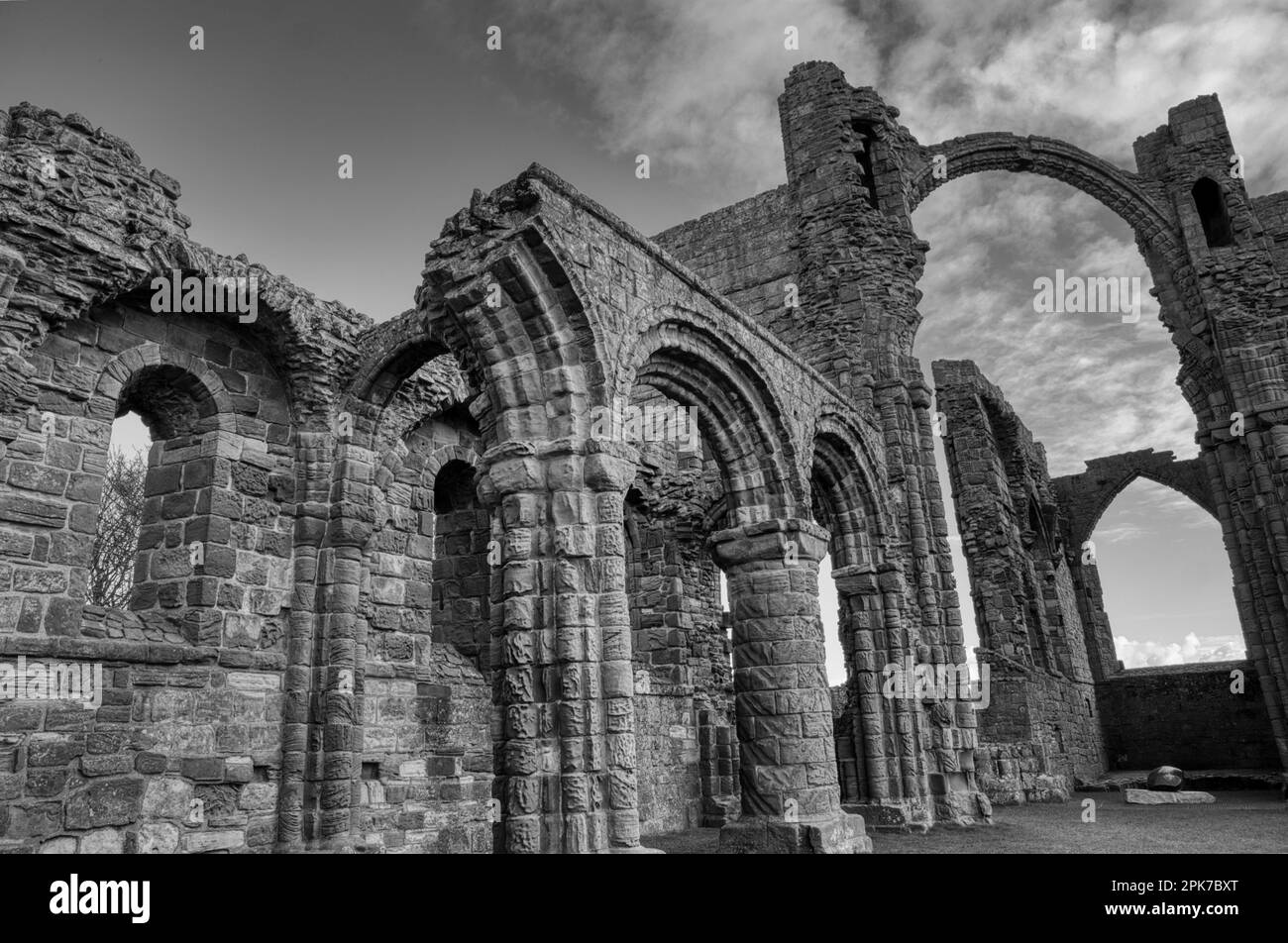 Arches gothiques Banque D'Images