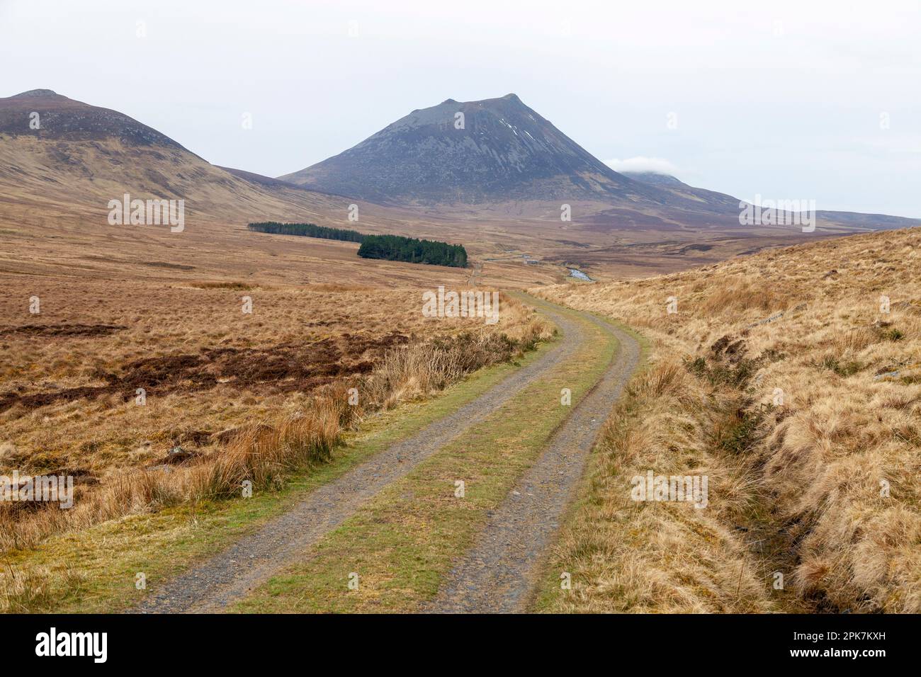 Morven Hill qui est classé comme un Graham Banque D'Images