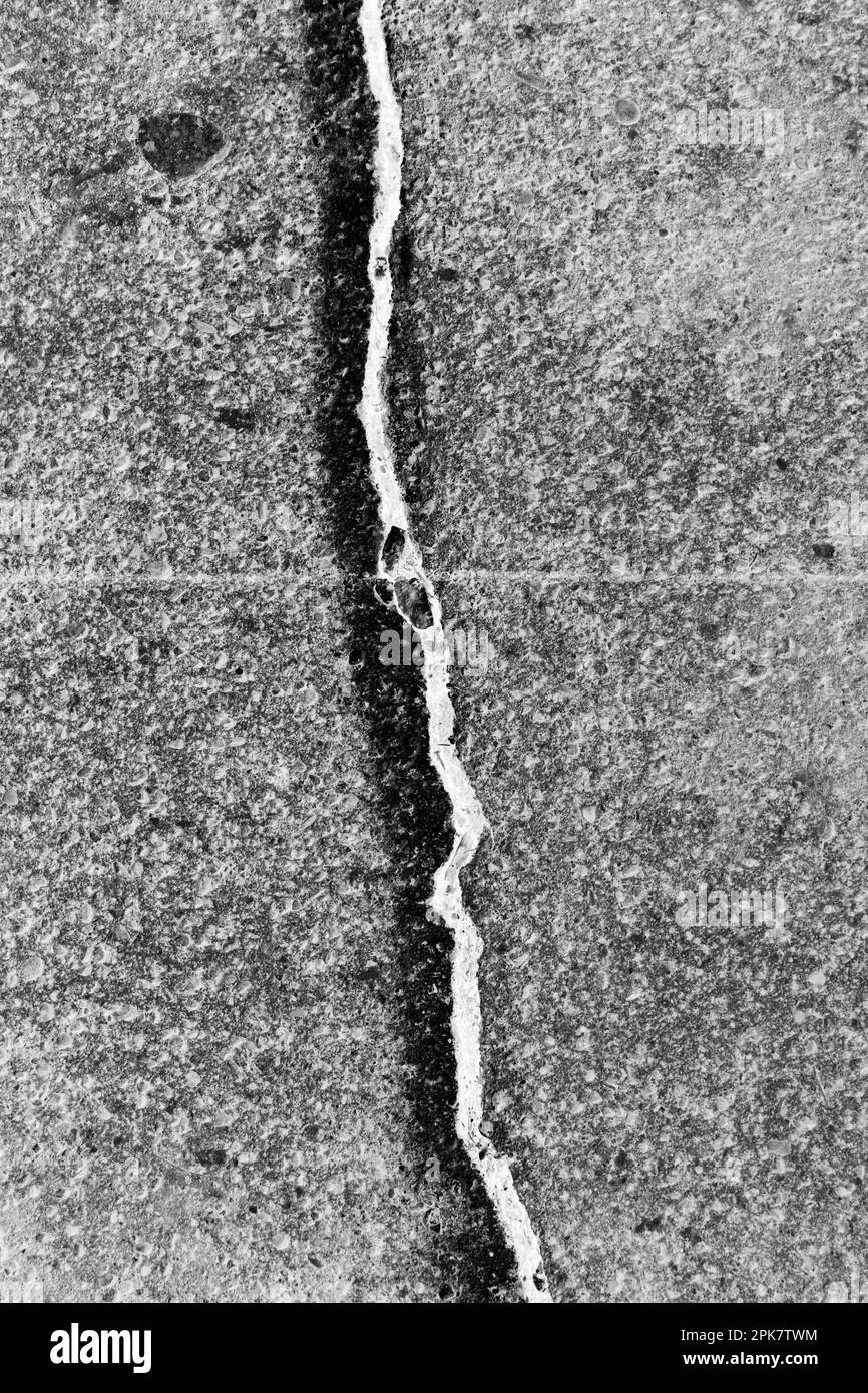 Une fissure entre les dalles peintes d'une ligne blanche, sur une surface de trottoir en béton. Banque D'Images
