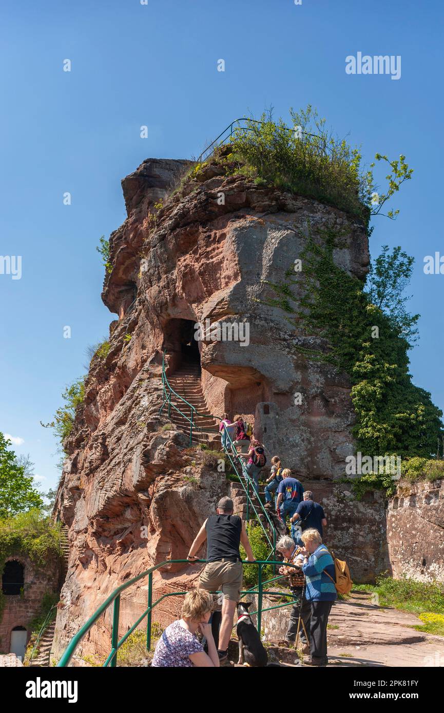Randonneurs aux ruines du château de Drachenfels dans le parc naturel forestier du Palatinat, Busenberg, Palatinat, Rhénanie-Palatinat, Allemagne, Europe Banque D'Images