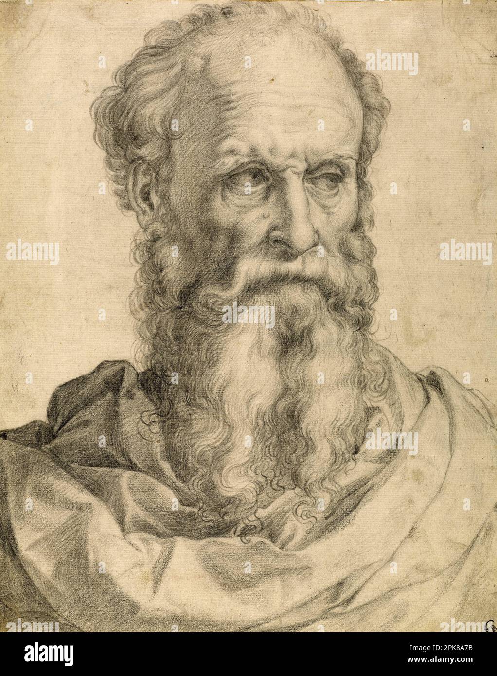 Tête et épaules d'un homme barbu 1540/1549 par Francesco Salviati Banque D'Images