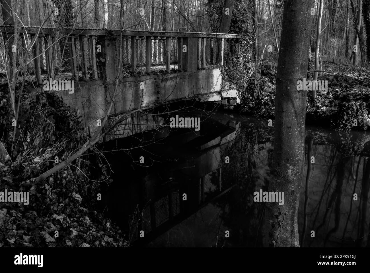 Pont en béton au-dessus d'une petite rivière dans la forêt, photographie en noir et blanc Banque D'Images
