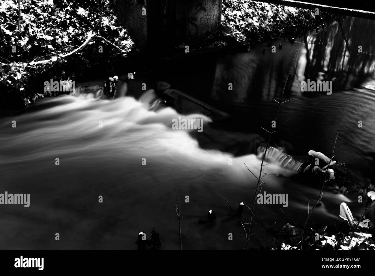 Courte exposition longue sur une petite rivière dans la forêt, photographie en noir et blanc Banque D'Images
