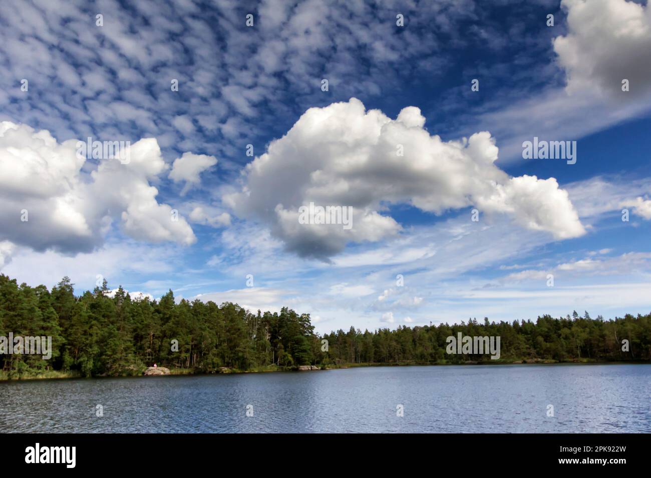 Différents nuages de bon temps au-dessus d'un lac et d'une forêt dans l'archipel en Suède Banque D'Images