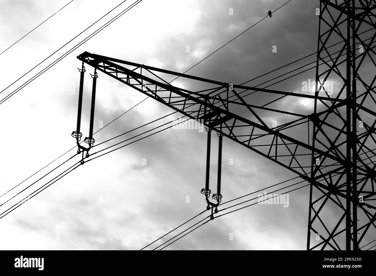 Crise énergétique en Europe. Cadre de la colonne de puissance avec un seul oiseau assis sur la ligne d'alimentation électrique Banque D'Images