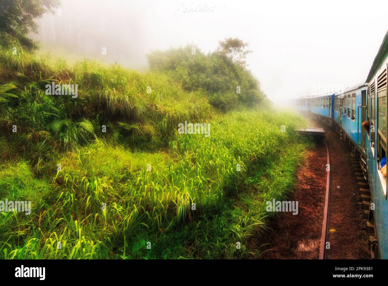 Le célèbre train bleu entre Kandy et Ella sur Sri Lanka temps de pluie dans les hautes terres Banque D'Images