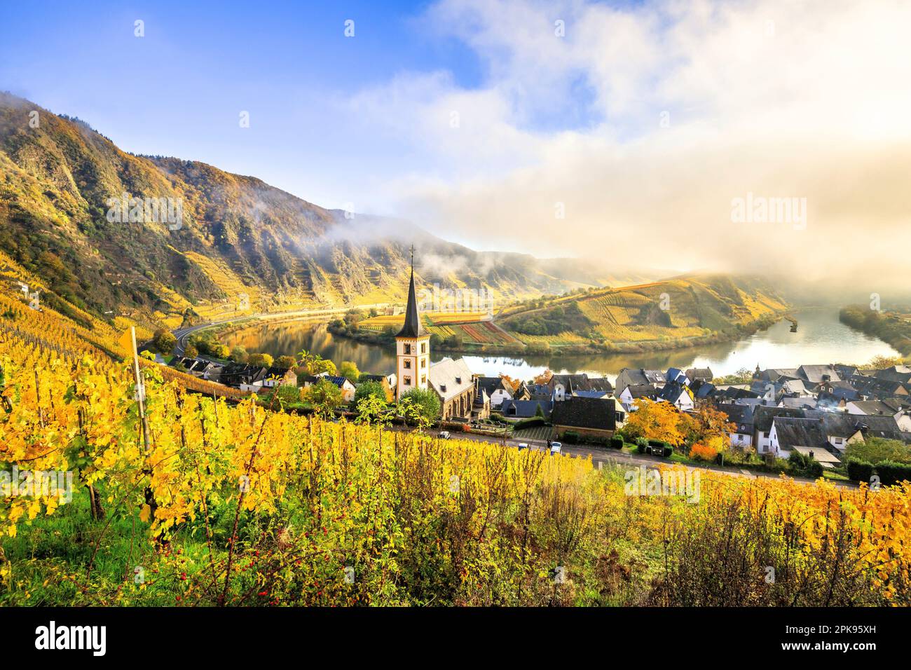 Magnifique lever de soleil sur la boucle de la Moselle près de Bremm. Photo d'automne des vignobles jaunes, belle lumière le matin. Banque D'Images