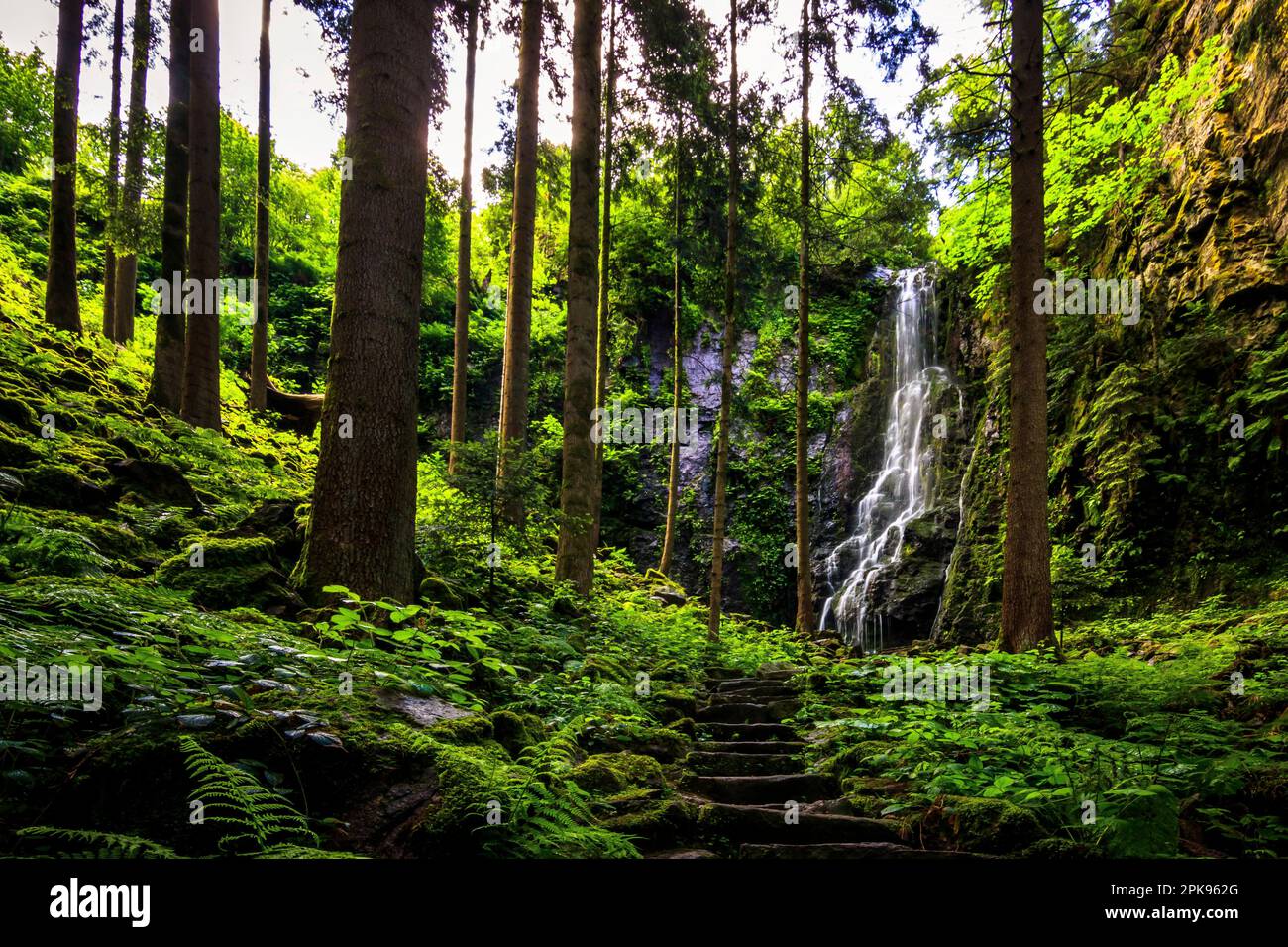 La cascade de Burgbach à Bad Rippoldsau-Schapbach au milieu de la forêt en grande nature dans la Forêt Noire Banque D'Images