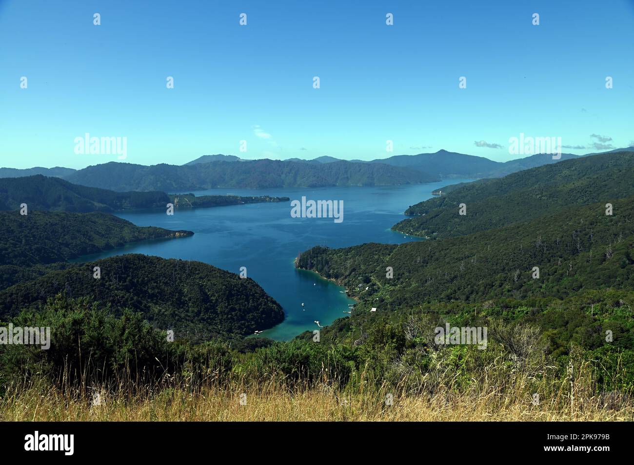 Vue depuis le Queen Charlotte Track, vue sur le Queen Charlotte Sound. Le sentier de 73,5 km se trouve dans la région de Marlborough en Nouvelle-Zélande. Banque D'Images