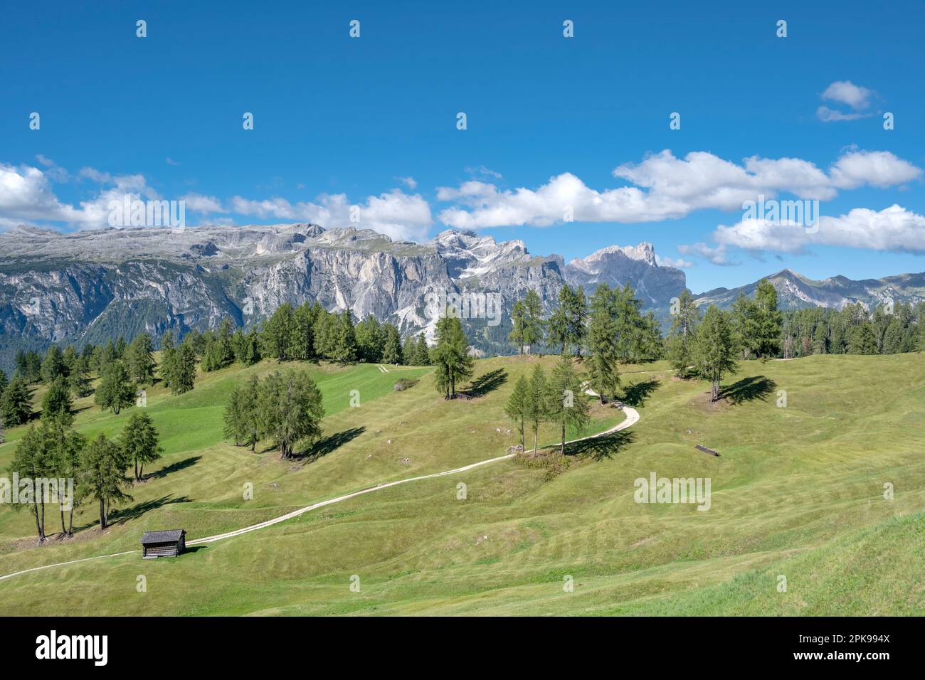Hochabtei / Alta Badia, province de Bolzano, Tyrol du Sud, Italie, Europe. Vue sur les prairies d'Armentara jusqu'au Puez Group et aux pics de Geisler. Banque D'Images