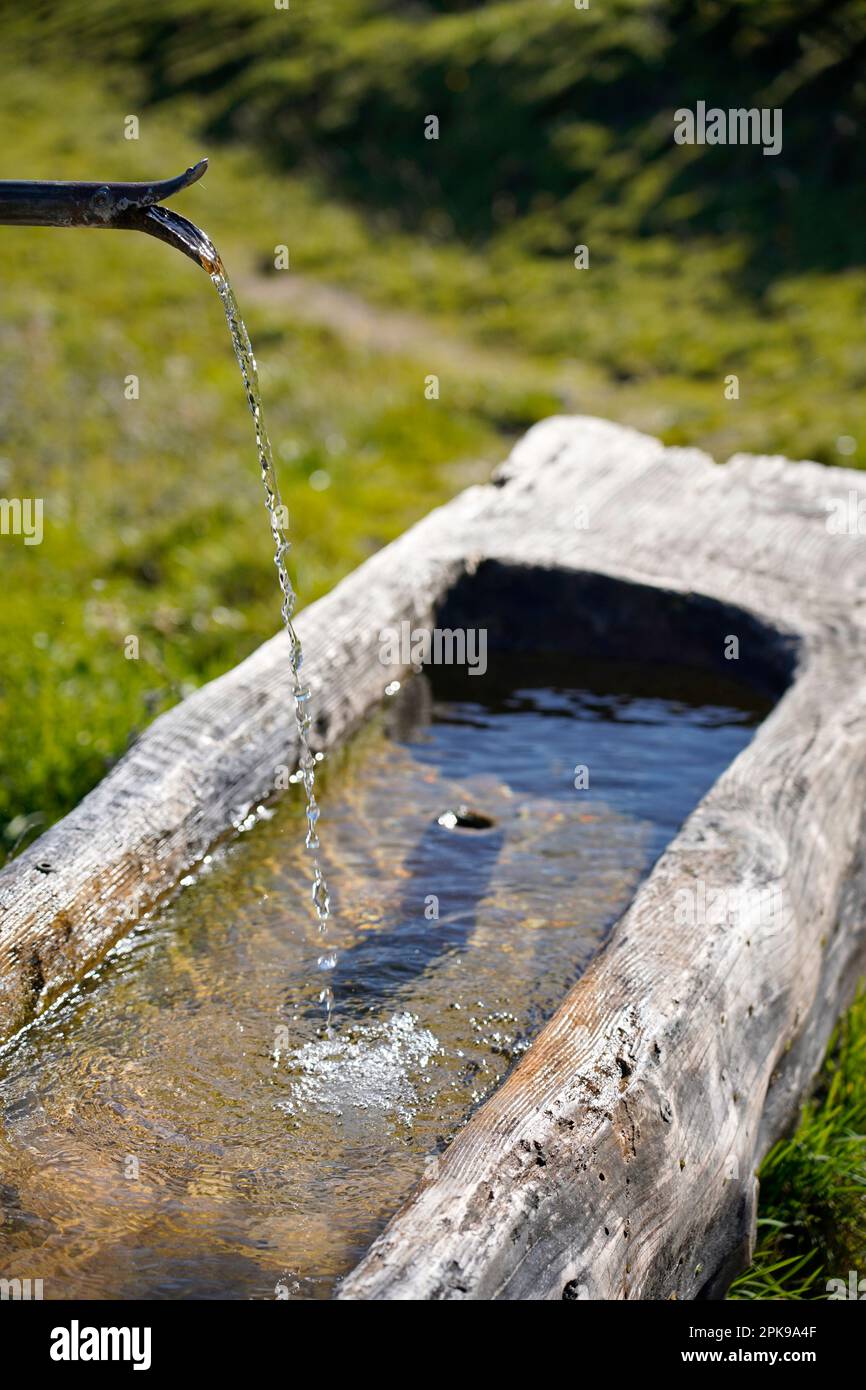 Autriche, province de Salzbourg, Pinzgau, parc naturel de Weißbach, Hirschbichl, Litzlalm, bac d'eau pour les vaches alpines Banque D'Images Autriche, province de Salzbourg, Pinzgau, parc naturel de Weißbach, Hirschbichl, Litzlalm, bac d'eau pour les vaches alpines Banque D'Images