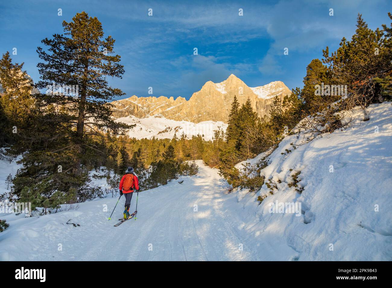 Italie, Trentin-Haut-Adige / Tyrol du Sud, San Giovanni di Fassa, ski de fond dans la vallée de Vaiolet avec Catinaccio / Rosengartenspitze en arrière-plan, vallée de Fassa, Dolomites Banque D'Images