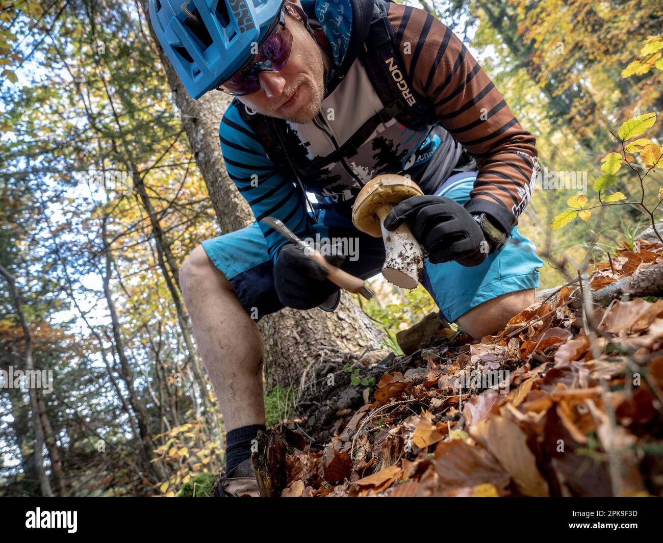 Le motard de montagne trouve des champignons porcini sur le chemin forestier dans la forêt de montagne d'automne près du Col de la gorge Banque D'Images