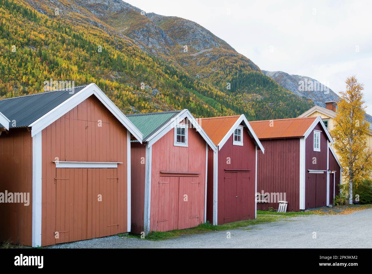 Norvège, Mosjoen, ville de la province de Vefsn (Nordland), serres locales typiques Banque D'Images