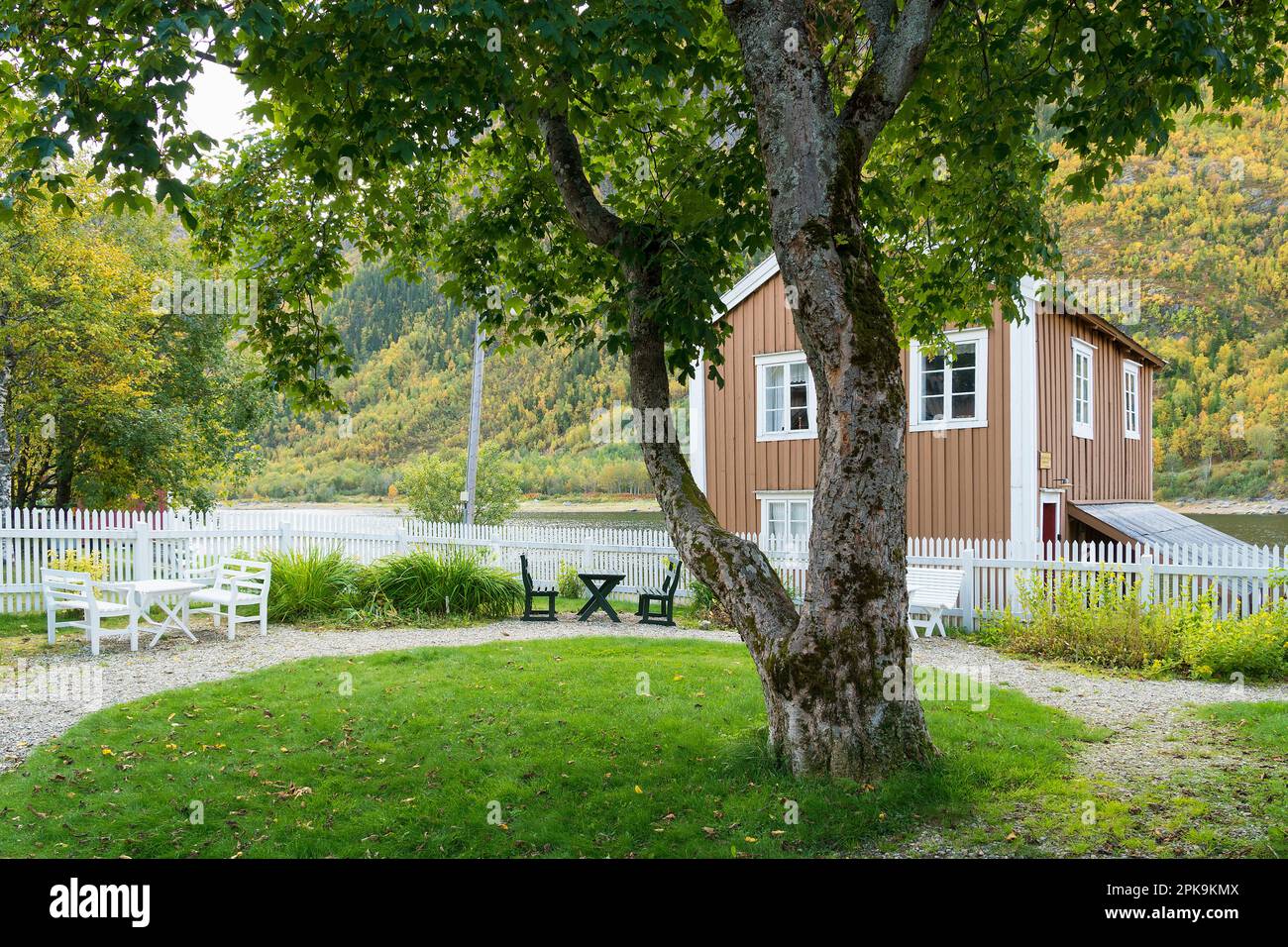 Norvège, Mosjoen, jardin, Bestemorhagen, érable de montagne Banque D'Images