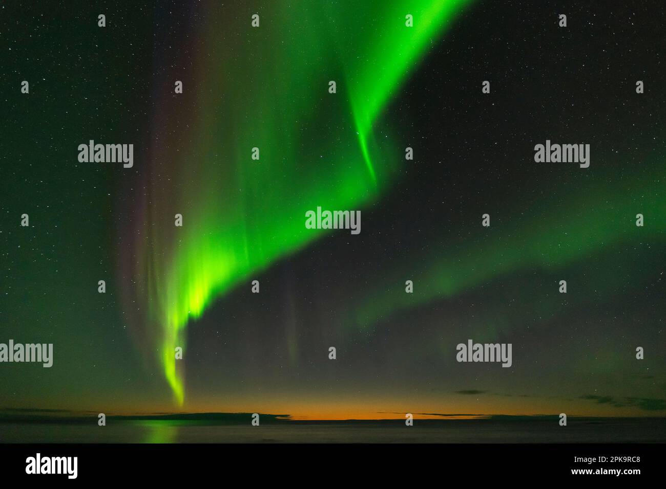 Norvège, Lofoten, Vestvagoya, Eggum, aurores multicolores au-dessus de l'océan Atlantique Banque D'Images