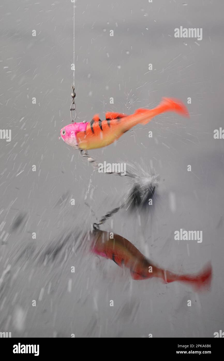 12.04.2022, Norvège, Trondelag, Vangshylla - un pilote qui rebondit sur une ligne de pêche au-dessus de l'eau. 00S220412D064CAROEX.JPG [VERSION DU MODÈLE : NON APPLICABLE Banque D'Images 12.04.2022, Norvège, Trondelag, Vangshylla - un pilote qui rebondit sur une ligne de pêche au-dessus de l'eau. 00S220412D064CAROEX.JPG [VERSION DU MODÈLE : NON APPLICABLE Banque D'Images