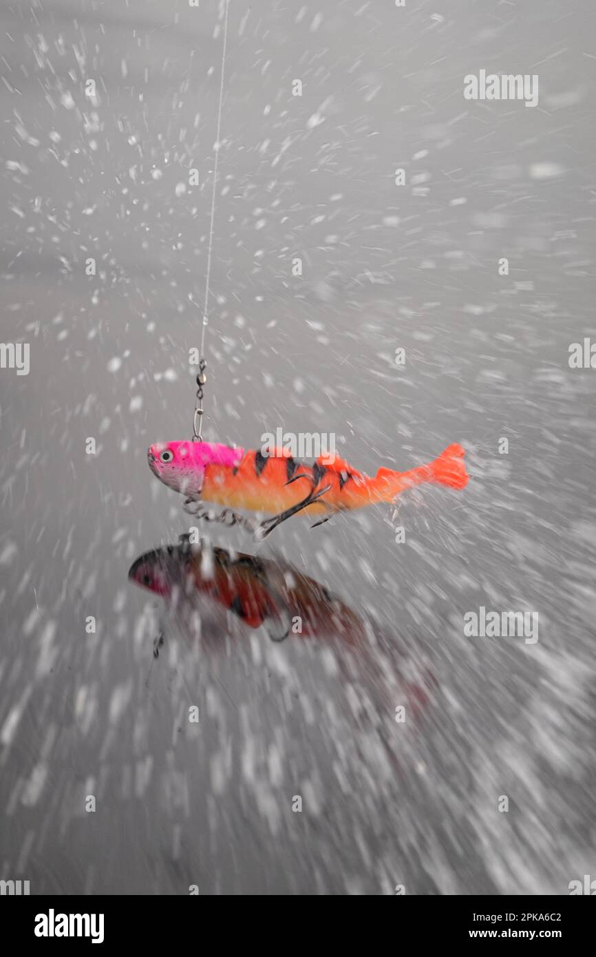 12.04.2022, Norvège, Trondelag, Vangshylla - un pilote qui rebondit sur une ligne de pêche au-dessus de l'eau. 00S220412D065CAROEX.JPG [VERSION DU MODÈLE : NON APPLICABLE, Banque D'Images 12.04.2022, Norvège, Trondelag, Vangshylla - un pilote qui rebondit sur une ligne de pêche au-dessus de l'eau. 00S220412D065CAROEX.JPG [VERSION DU MODÈLE : NON APPLICABLE, Banque D'Images