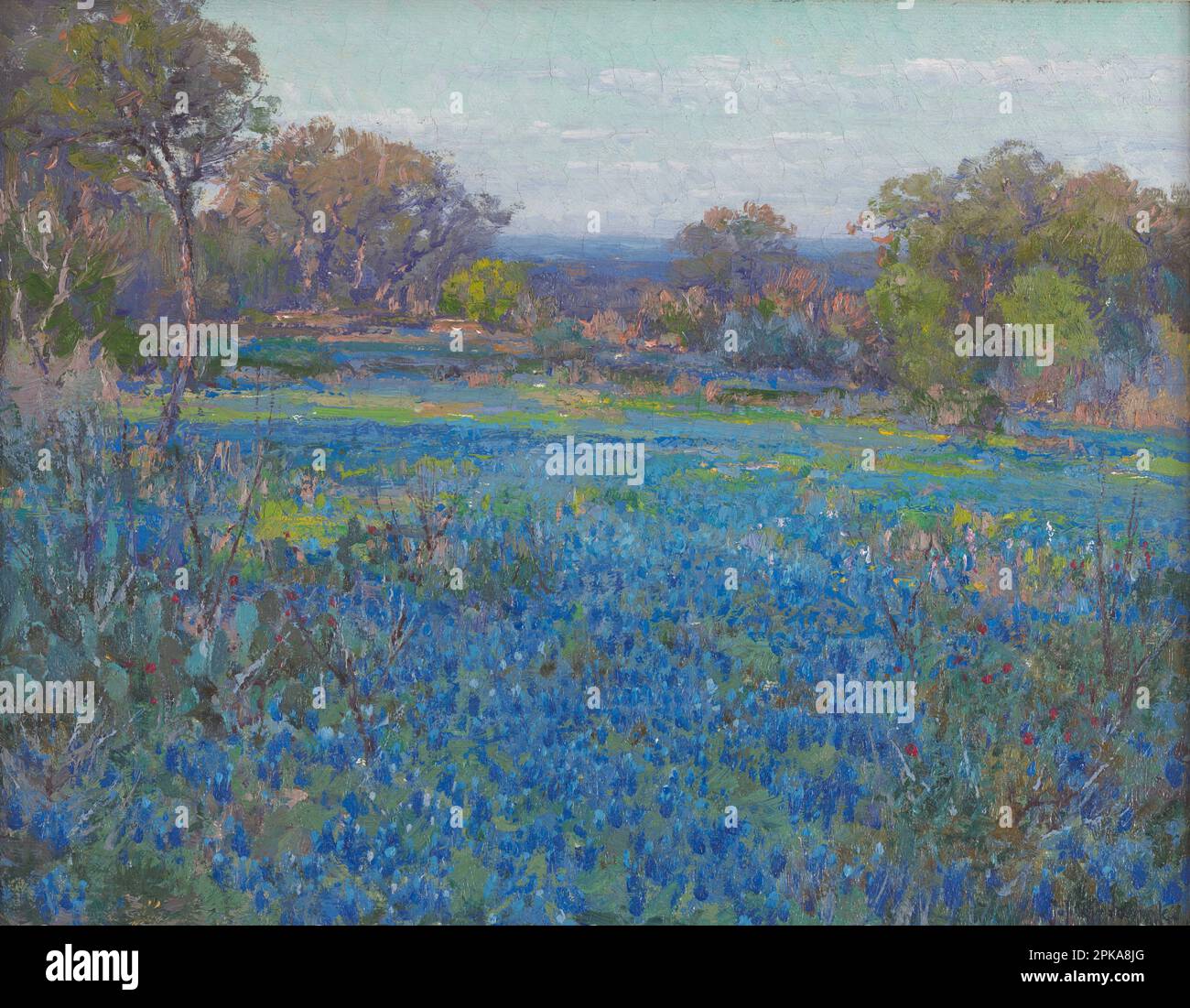 Un champ de filets bleus, lumière du soleil de fin d'après-midi 1919/1920 par Julian Onderdonk Banque D'Images