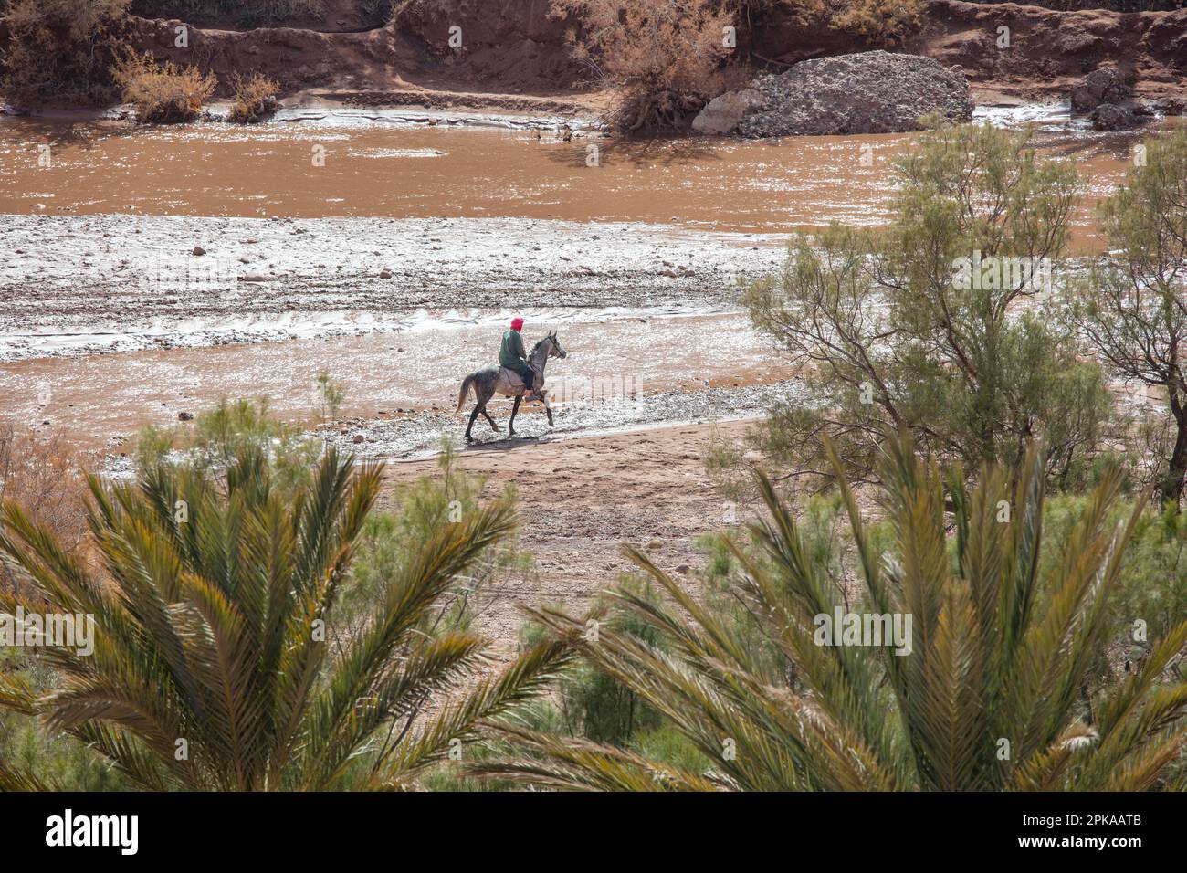 Maroc, ait-Ben-Haddou, ait-Ben-Haddou, cheval arabe, pilote en rivière, Banque D'Images