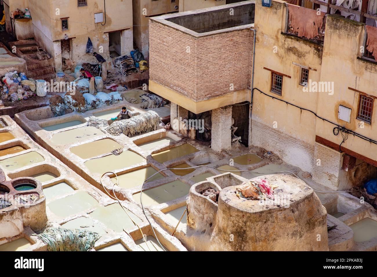 Maroc, Fès, tannerie en cuir, teintures, médina, vieille ville Banque D'Images