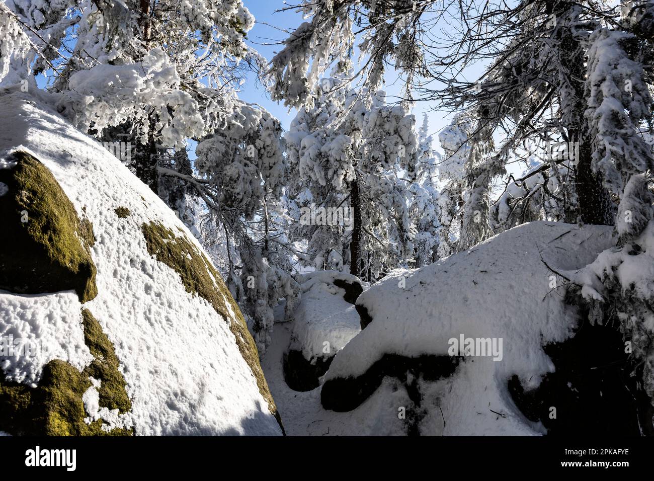 Europe, Pologne, Europe, Pologne, Basse-Silésie, Szczeliniec Wielki / Große Heuscheuer / Parc national des montagnes Stolowe Banque D'Images