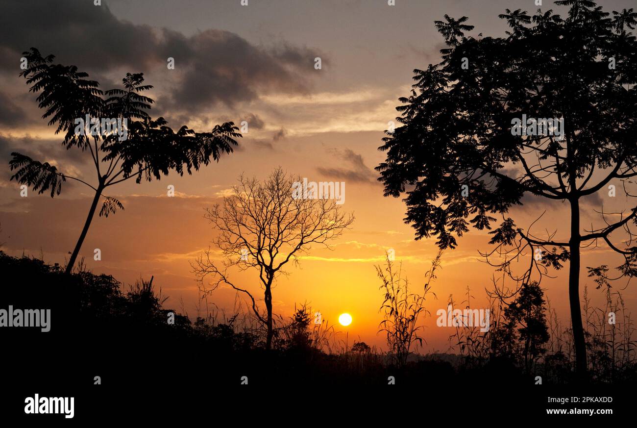 Afrique de l'Ouest, Togo, Mont Agou, coucher de soleil Banque D'Images