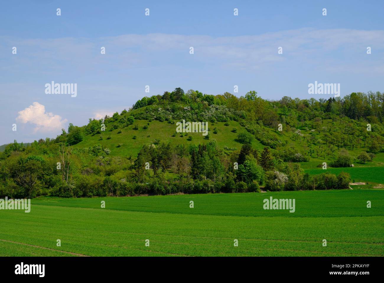 Basse chaîne de montagnes paysage de la Haßberge près de Goßmannsdorf, quartier de la ville Hofheim en Basse-Franconie, quartier Haßfurt, parc naturel Haßberge, Basse-Franconie, Franconie, Bavière, Allemagne Banque D'Images