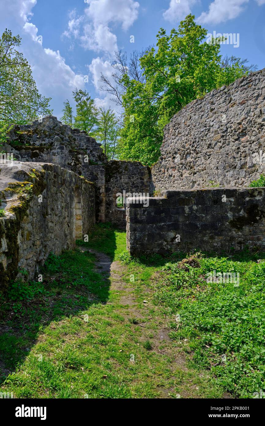 Château de la ruine Bramberg dans le parc naturel de Haßberge, district de Haßfurt, Basse-Franconie, Franconie, Bavière, Allemagne Banque D'Images