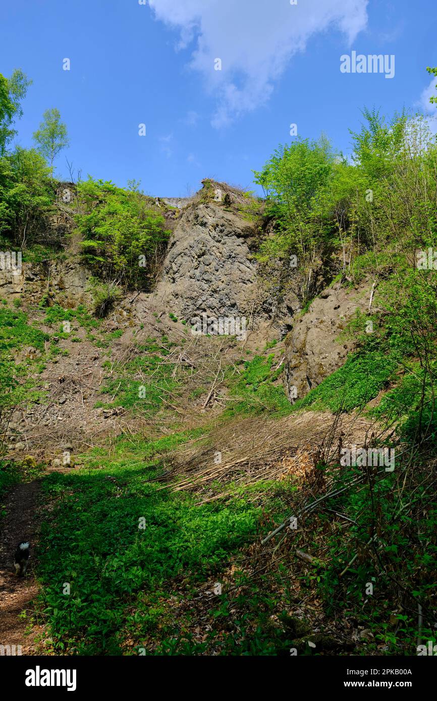 Carrière de basalte à Bramberg dans le parc naturel de Haßberge, district de Haßfurt, Basse-Franconie, Franconie, Bavière, Allemagne Banque D'Images