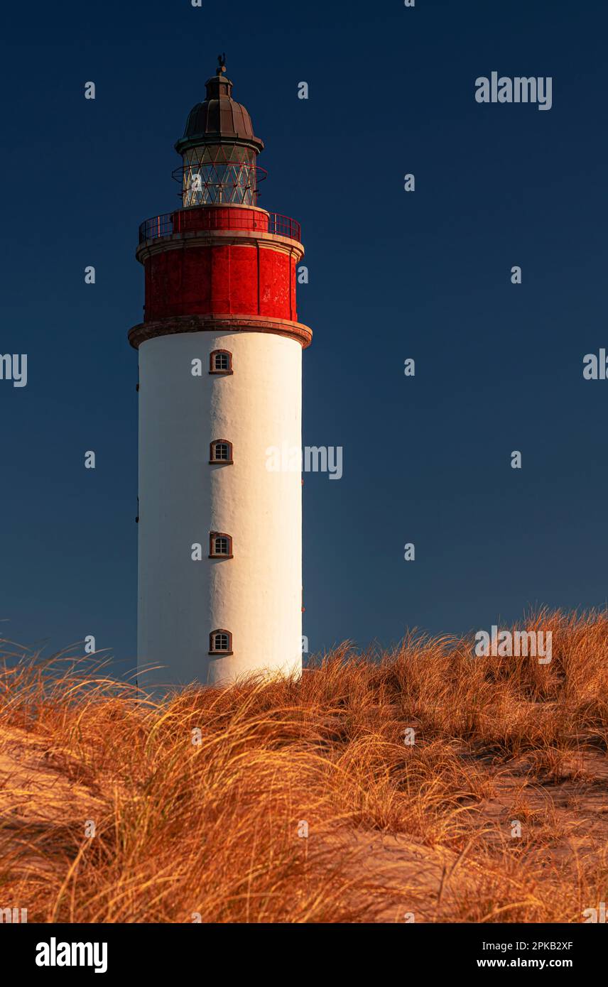 Phare, île d'Anholt, Kattegat, mer Baltique, Danemark Banque D'Images