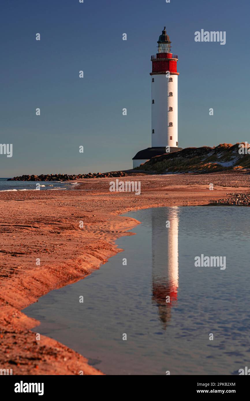 Phare, île d'Anholt, Kattegat, mer Baltique, Danemark Banque D'Images