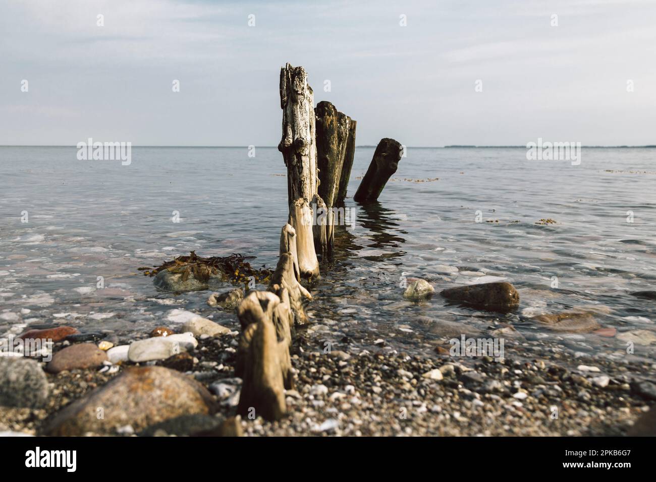 Danemark, île de Funen en automne Banque D'Images