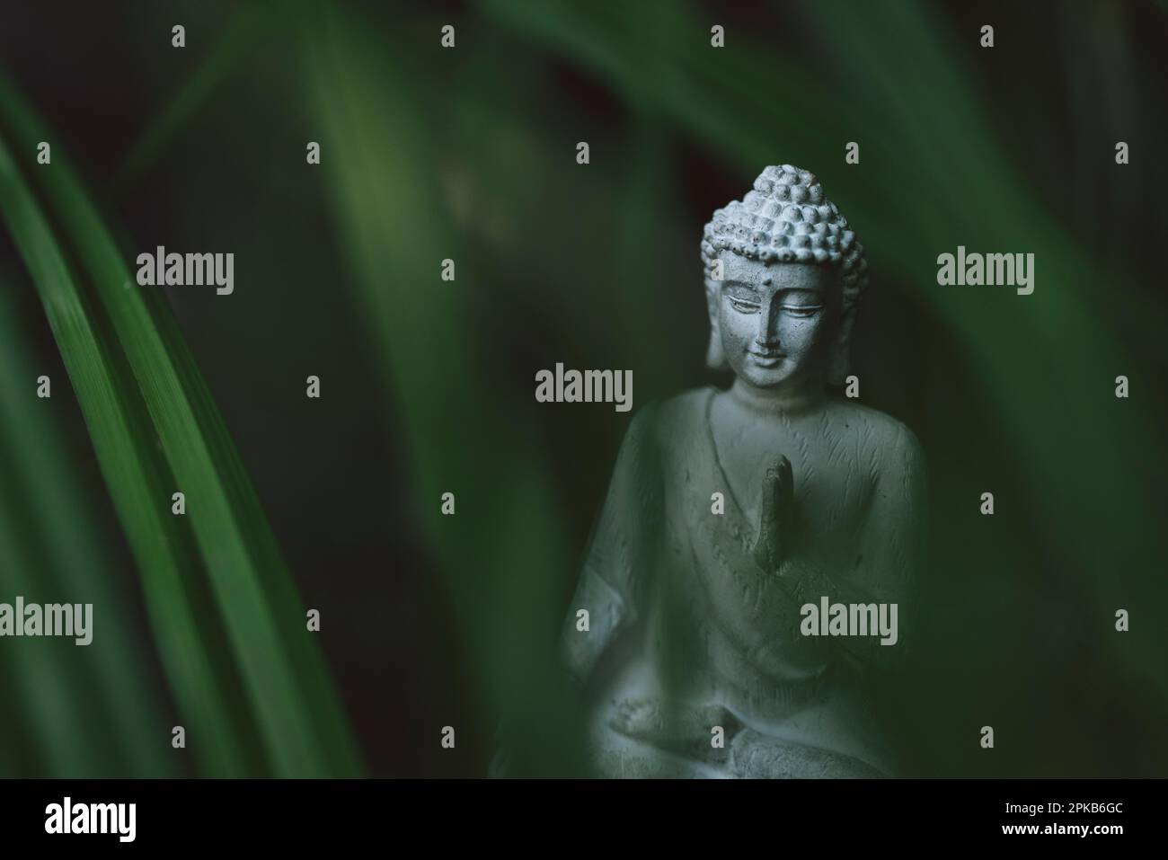 Statue de Bouddha dans l'herbe Banque D'Images