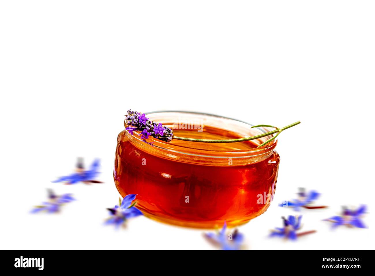 Soucoupe en verre à miel avec fleur de lavande et bourrache bleu-fond blanc. Banque D'Images