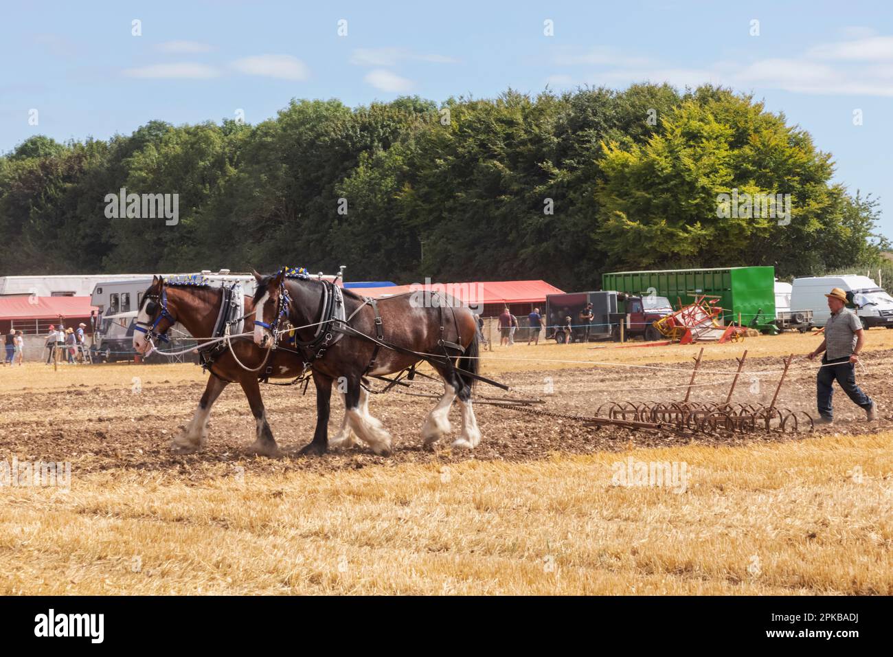 Angleterre, Dorset, la foire annuelle de vapeur du Grand Dorset à Tarrant Hinton près du Forum de Blandford, homme démontrant le labour traditionnel avec des chevaux-brouillons Banque D'Images