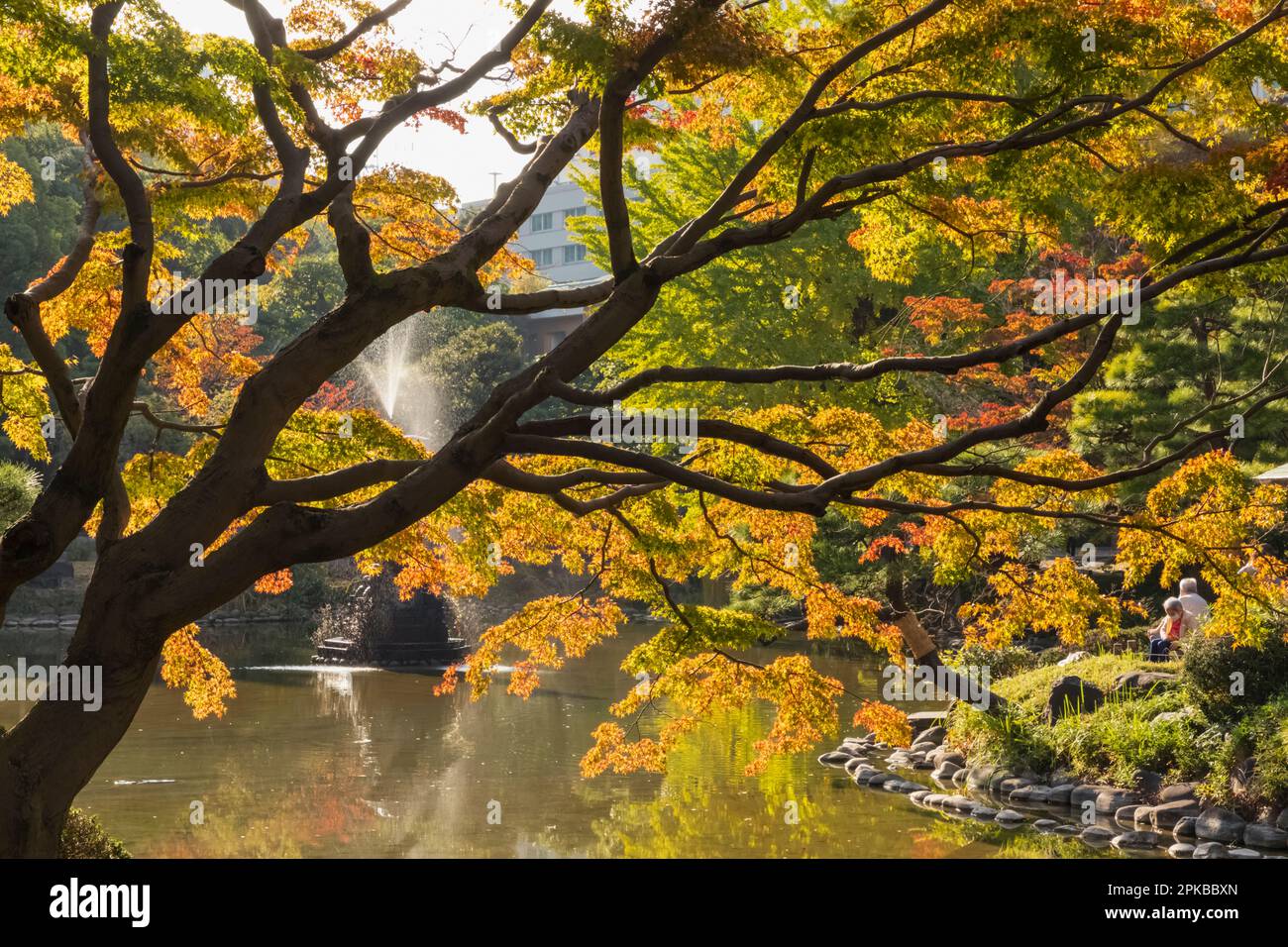 Japon, Honshu, Tokyo, Hibiya, Hibiya Park, La fontaine de la grue et les feuilles d'automne Banque D'Images