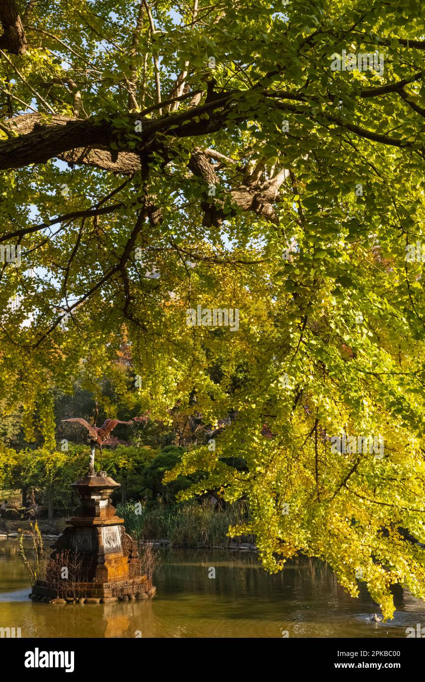 Japon, Honshu, Tokyo, Hibiya, Hibiya Park, La fontaine de la grue et les feuilles d'automne Banque D'Images