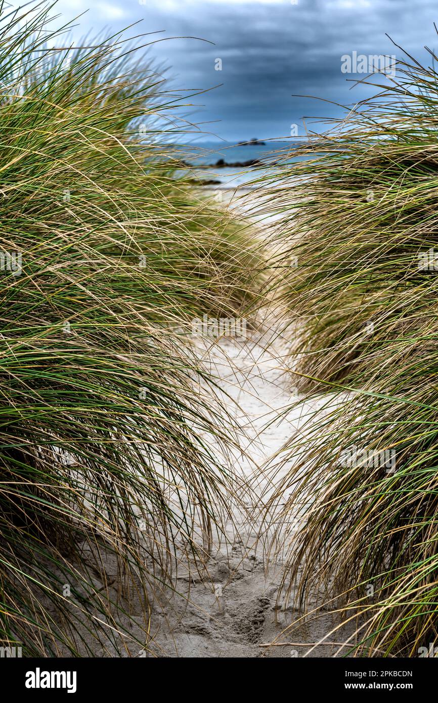 Plage et dunes de Sainte Marguerite sur la Côte Atlantique du Finistère en Bretagne Banque D'Images