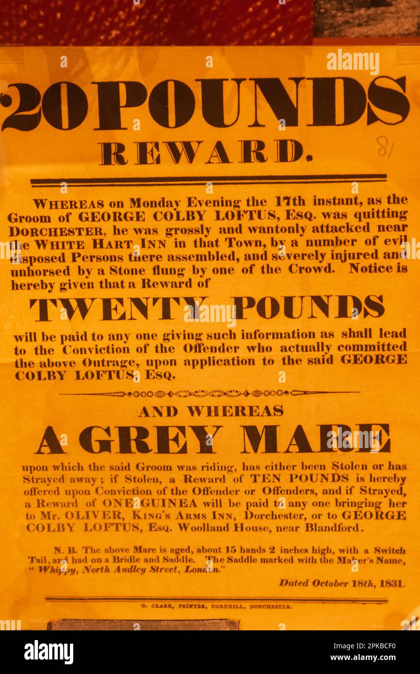 Angleterre, Dorset, Dorchester, Musée Dorset, Poster de récompense historique pour l'Assalt physique daté de 18 octobre 1831 Banque D'Images
