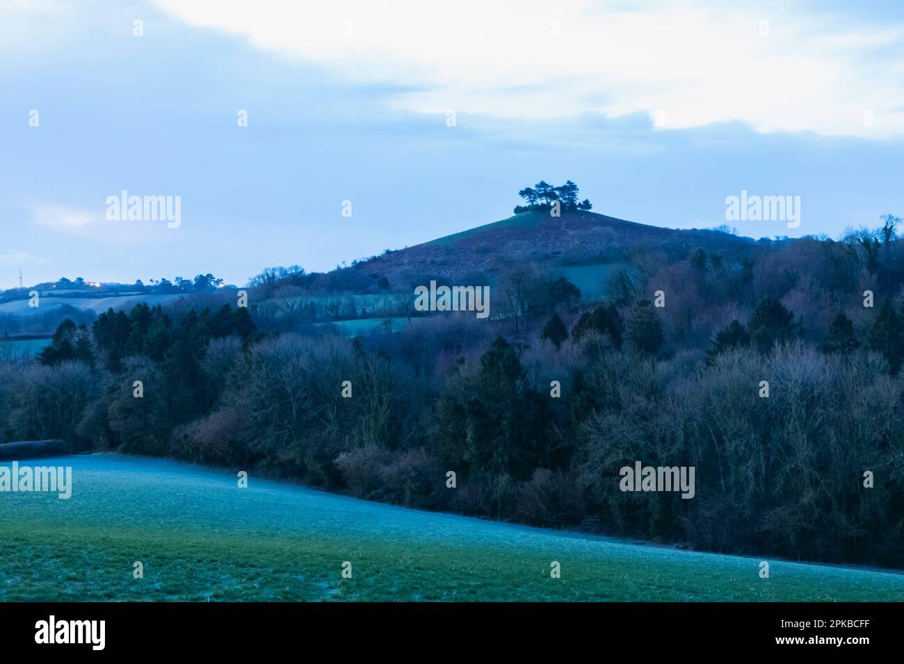 Angleterre, Dorset, Bridport, domaine de Symondsbury, Colmers Hill Banque D'Images