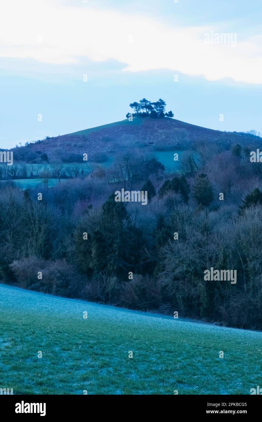 Angleterre, Dorset, Bridport, domaine de Symondsbury, Colmers Hill Banque D'Images