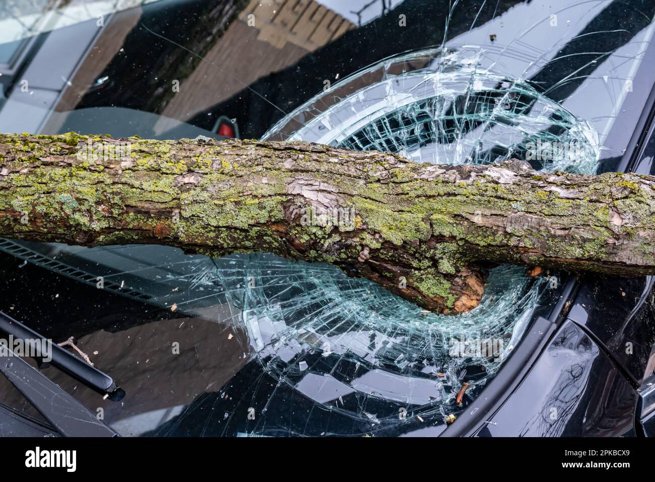 2023,pluie verglaçante,accident,auto,arrière-plan,cassé,canada,voiture,climat,closeup,froid,froid,crash,dommage,endommagé,danger,détruit,détruire Banque D'Images