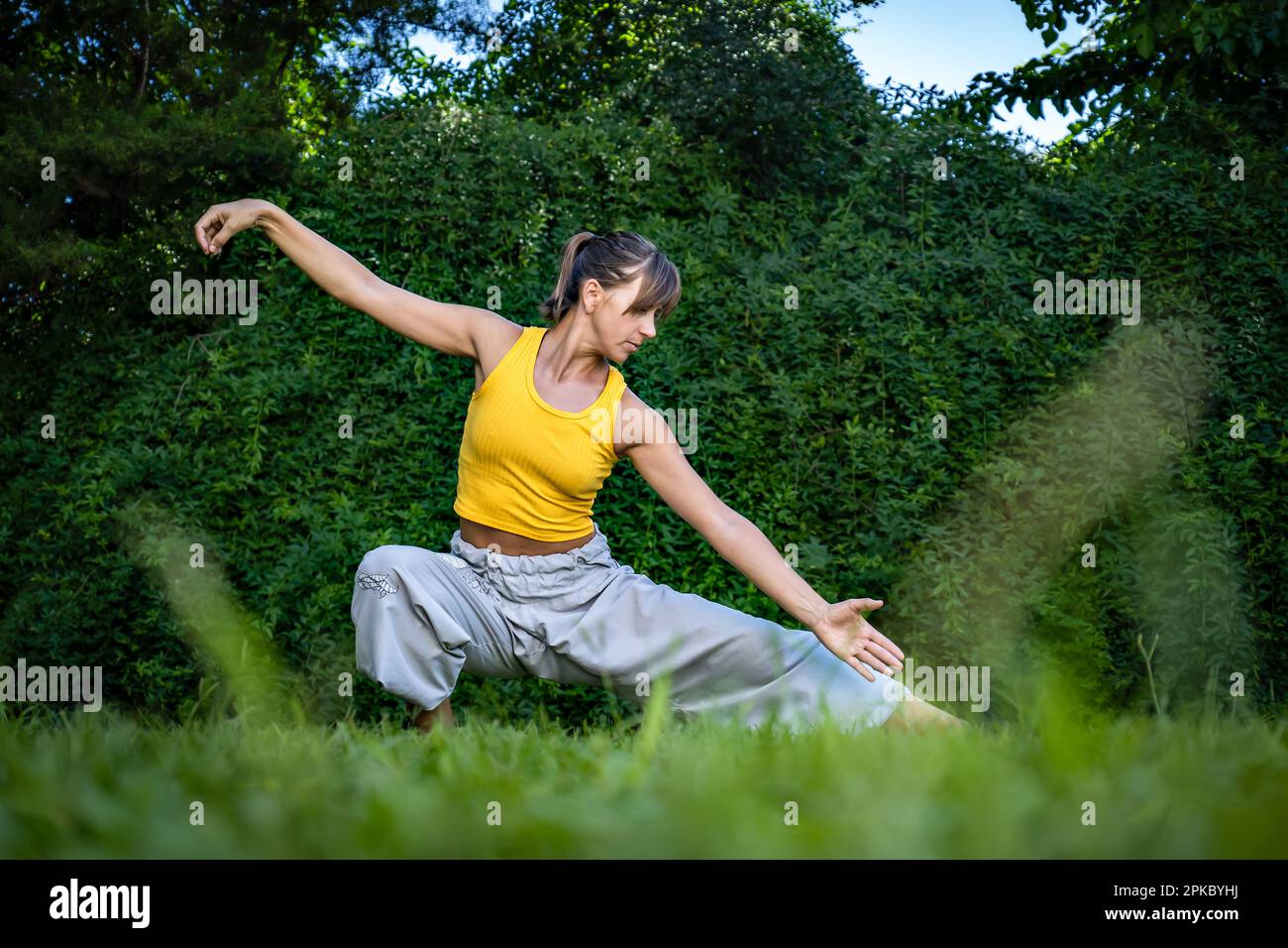 Jeune femme pratiquant le tai chi chuan dans la nature. L'énergie de Qi est une compétence de gestion chinoise. Banque D'Images