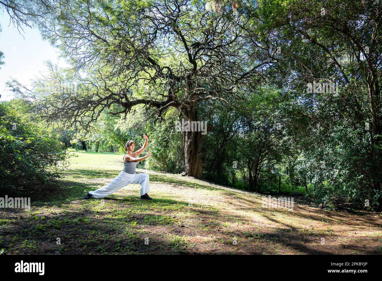 Une femme pratique le Tai Chi dans les parcs. Pratiquer à l'extérieur fournit un environnement calme et relaxant pour la méditation et la concentration. Banque D'Images