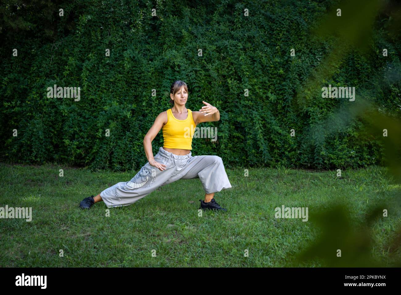 Une femme pratique le Tai Chi dans un parc. Pratiquer à l'extérieur fournit un environnement calme et relaxant pour la méditation et la concentration. Banque D'Images