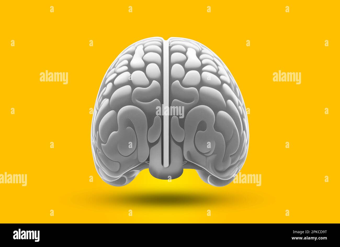 Arbres cérébraux humains en deux parties jaune illustration isolée concept art fond jaune Banque D'Images