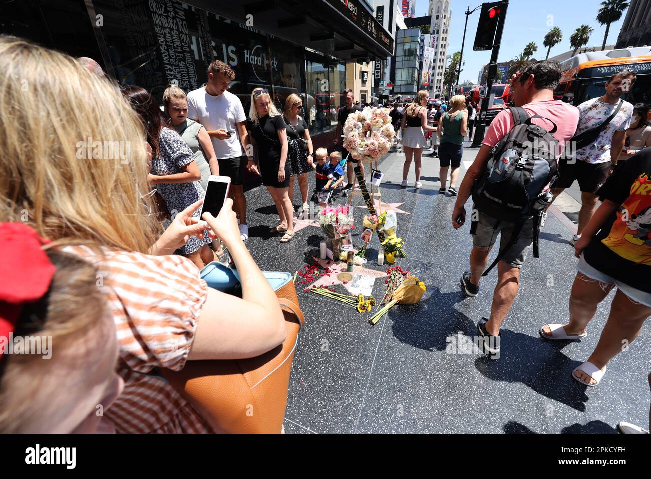 Olivia Newton-John's Hollywood Star on the Walk of Fame, Hollywood Boulevard, Los Angeles, Californie, États-Unis, le jour de sa mort. Banque D'Images