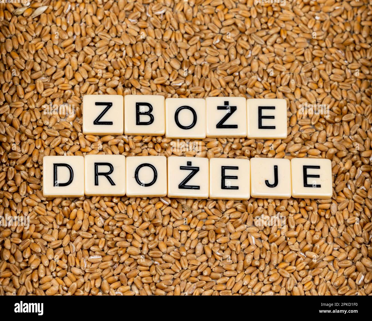 Phrase en langue polonaise 'les céréales deviennent plus chères' faite par des carreaux de lettre sur le grain de blé. Changements sur le marché alimentaire causés par la guerre en Ukraine Banque D'Images